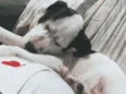Zoe