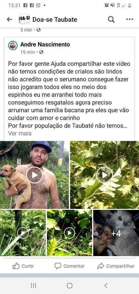 Cachorro ra a SRD idade Abaixo de 2 meses nome Sem nomes