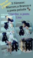 Sem nomes