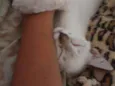.......