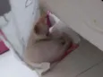 Não tem nome