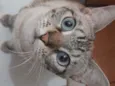 Marie 