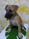 Doby