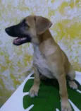 Doby
