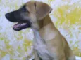 Doby