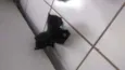 Ainda não tem Nome 