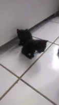 Ainda não tem Nome 