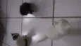 Ainda não tem Nome 