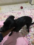Nina