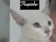 FLOQUINHO