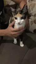 Penélope 