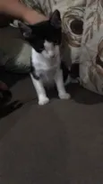 Penélope 