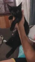 Penélope 
