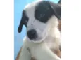 Cirilo
