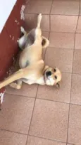 Mel