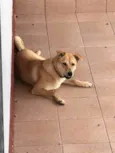 Mel