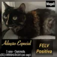 MAGALI