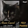 MAGALI