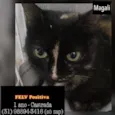 MAGALI