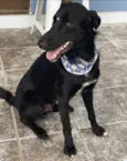 SEBASTIAN