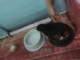 Ursinho 