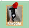 Pandora