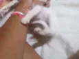 Nao tem nome ainda
