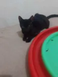 Lua
