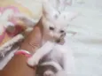 Nao tem nome ainda