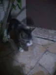 Baianinha