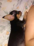 Ainda sem nome