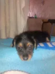 Ainda sem nome