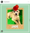 Jade