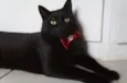 Tim