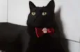 Tim
