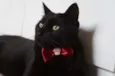 Tim