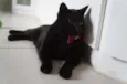 Tim