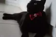 Tim