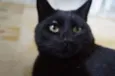 Tim