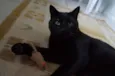 Tim