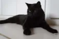 Tim