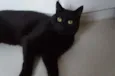 Tim