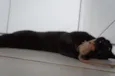 Tim