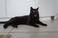 Tim