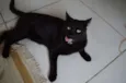 Tim