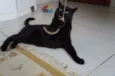 Tim