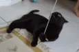 Tim