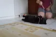 Tim