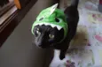 Tim