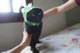 Tim